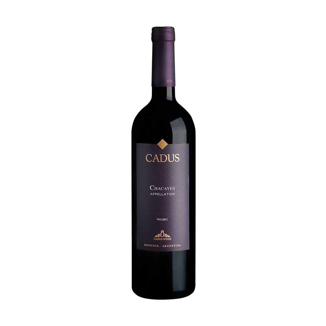 Cadus Appellation Chacayes Malbec